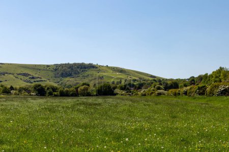Photo for Green fields and foliage in springtime, in the South Downs in Sussex - Royalty Free Image