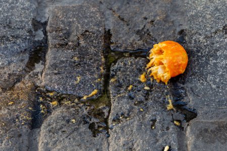 Téléchargez les photos : A squashed Seville orange on a cobbled street in Seville - en image libre de droit