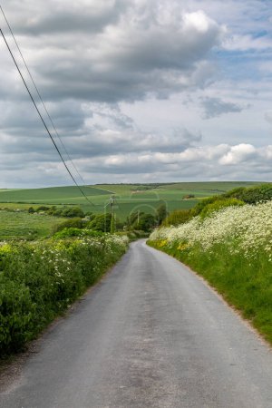 Téléchargez les photos : Regarder le long d'une route de campagne dans le Sussex un jour de printemps, avec une abondance de persil de vache bordant la route - en image libre de droit