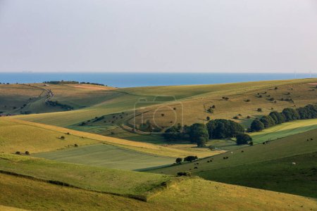 Photo for An idyllic view over the South Downs towards the sea, on a sunny summer's evening - Royalty Free Image