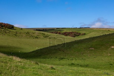 Photo for Hills in the South Downs with a blue sky overhead - Royalty Free Image
