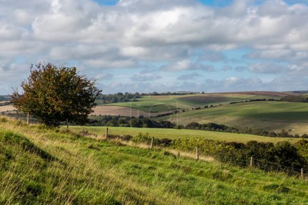 Photo for Looking out over the South Downs from Kingston near Lewes, on a sunny autumn day - Royalty Free Image