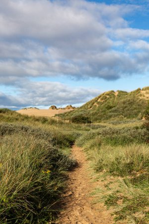 Téléchargez les photos : En regardant le long d'un sentier à Formby à Merseyside, avec de l'herbe d'arram couvrant les dunes de sable - en image libre de droit