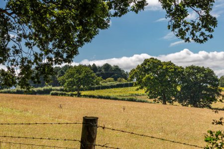 A rural Sussex view on a sunny summer's day