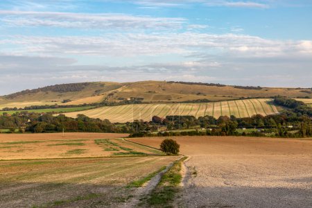 A rural South Downs farm landscape on a sunny evening