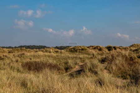 A view over sand dunes on the Merseyside coast