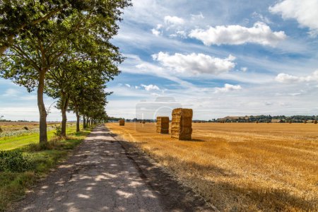 Looking along a pathway through farmland with straw bales stacked in the field after harvesting