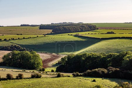 Looking out over farmland in Sussex on a sunny morning