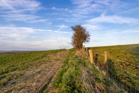 Téléchargez les photos : Terres agricoles dans le Sussex rural par une soirée ensoleillée au début du printemps - en image libre de droit