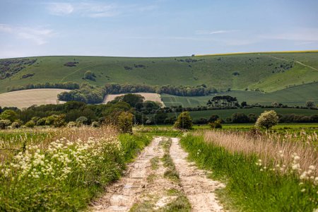 Looking along a chalk pathway in rural Sussex on a spring day, with focus on distance
