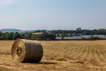 A rural Sussex farm landscape, on a sunny summer's day