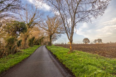 Un camino rural que corre junto a tierras de cultivo en Sussex