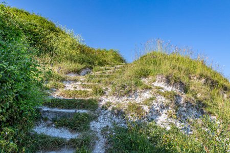 Looking up stone steps in the Sussex countryside, on a sunny summer's day