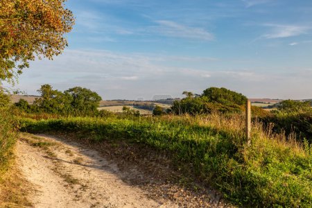 Un camino de tierra en Sussex rural, en una tarde soleada de verano