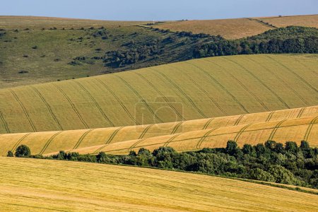 An idyllic South Downs landscape on a sunny summer's day