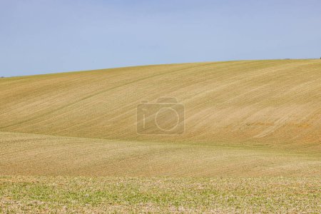Farmland in the South Downs with a blue sky overhead