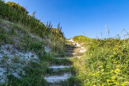 Steps in a Sussex hillside with a blue sky overhead