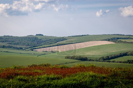 A rural South Downs view in springtime, from Kingston Ridge in Sussex