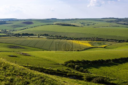 Looking out over a vast South Downs landscape on a sunny spring day