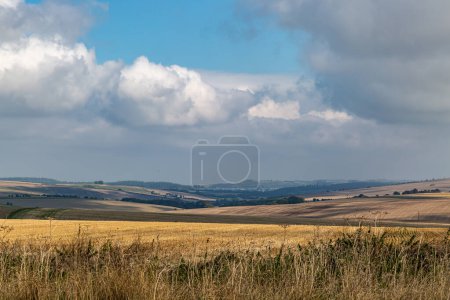 A view over farmland in Wiltshire, on a sunny late September day