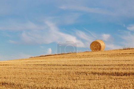A rural Sussex summer landscape, with a hay bale on a hilltop