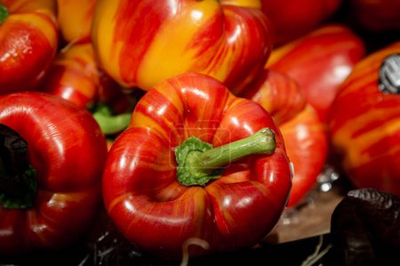 Photo for Vibrant striped bell peppers for sale on a market stall, with a shallow depth of field - Royalty Free Image