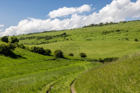 Photo for A view along a pathway in the Sussex countryside, with a blue sky overhead - Royalty Free Image
