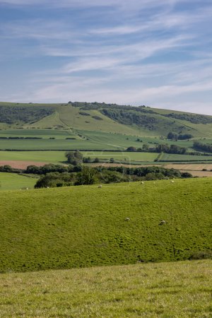 Foto de Mirando sobre tierras de cultivo en Sussex rural en un soleado día de primavera - Imagen libre de derechos