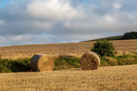 A sunny evening in rural Sussex, with straw bales after harvesting