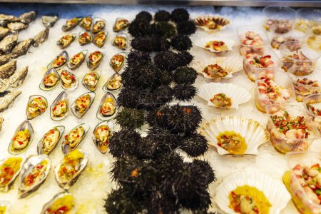 frische Austern, lila Seeigel, bunte Jakobsmuscheln oder schwarze Jakobsmuscheln und Muscheln in einem Gourmet-Fischgeschäft in Bolhao Market, Street Food Markt in Porto oder Porto, Portugal