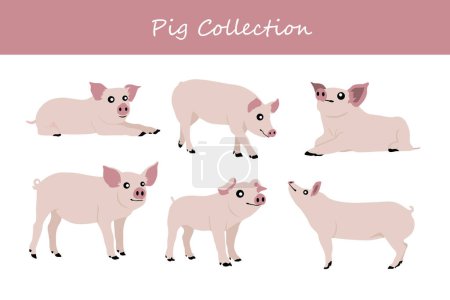 Illustration for Set of cute pigs. Vector illustration. Isolated on white background. - Royalty Free Image