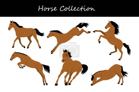 Illustration for Horse vector illustration. Set of cartoon horses on white background. - Royalty Free Image