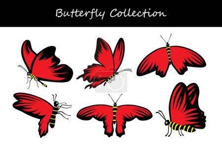 Téléchargez les illustrations : Collection de papillons. Illustration vectorielle. Isolé sur fond blanc. - en licence libre de droit