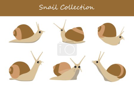 snails vector illustration set. Cute snails isolated on white background.