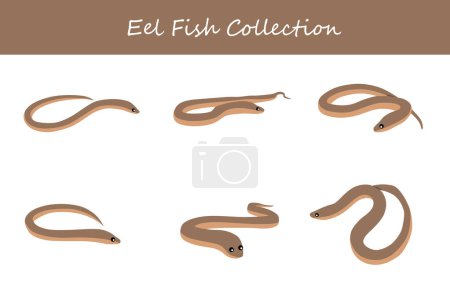 eel collection. eel in different poses. Vector illustration.