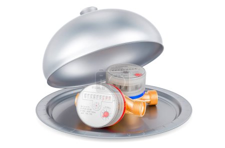 Photo for Restaurant cloche with cold and hot water meters, 3D rendering isolated on white background - Royalty Free Image