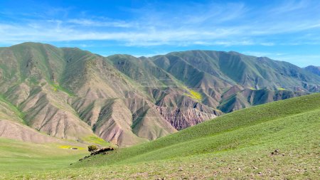Stunning views around the Konorchek canyons in Kyrgyzstan. The majestic mountains are covered with green grass and the sky is blue. This peaceful view is breathtaking