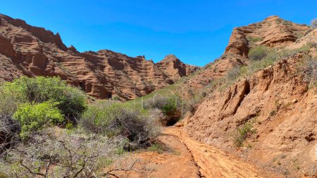 A walk through the canyons of Konorchek in Kyrgyzstan. A dirt road winds through a rocky canyon. The sky is clear and blue, the sun is shining brightly. The landscape is harsh and barren, with sparse vegetation growing along the roadsides