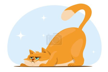 disgruntled or angry cat, a pet sitting on the floor. Stock vector illustration