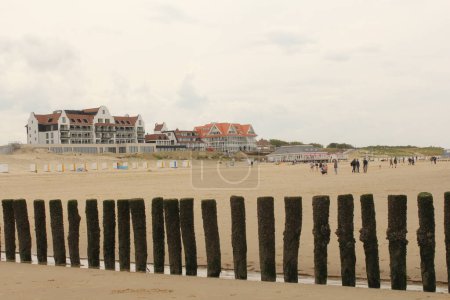 Foto de A sand beach with beach poles and hotels and pavilions at the dunes at the dutch coast in cadzand - Imagen libre de derechos