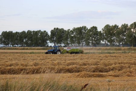 Téléchargez les photos : Un beau paysage rural en été avec un tracteur avec une presse à balles dans un champ avec des rangées de paille devant et une rangée d'arbres en arrière-plan - en image libre de droit