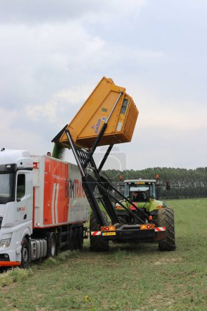 Téléchargez les photos : Un benne basculante décharge des pois dans un camion avec une remorque dans un champ de pois verts dans la campagne néerlandaise en été - en image libre de droit