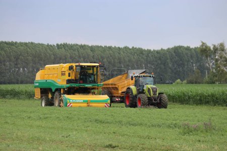 Téléchargez les photos : Une cueilleuse de pois 'ploeger' et un tracteur avec remorque basculante récoltent des pois dans un champ vert à holland en été - en image libre de droit