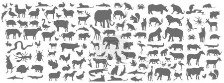 animals silhouette bundle set vector Poster 626274360