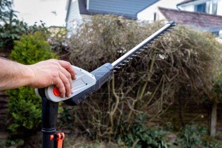 Photo for Close up of battery powered hedge clippers with sharp blades and mans hand holding it in front of hedge in garden. - Royalty Free Image