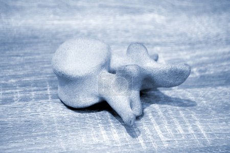 Prototype model of human vertebra 3D printed from polyamide powder. Technology Multi Jet Fusion MJF. Three-dimensional model printed on 3D printer from plastic. Additive progressive powder technology