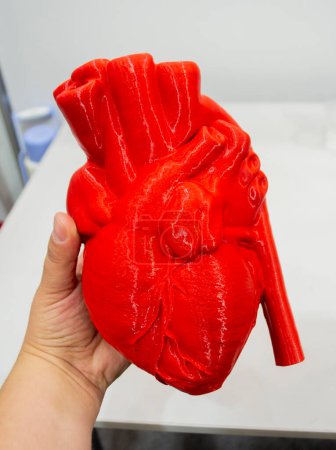 Person holding in hand prototype of human heart 3D printed from molten red plastic. Model of human heart printed on 3D printer close-up. New modern additive 3D printing medical healthcare technologies