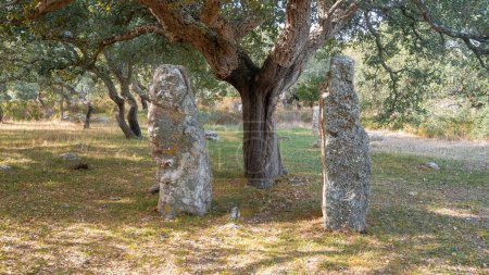 Foto de Tomb of the giants and menhir in Sardinia Sardegna Italy big megalith stone standing in field archeological monument history, south sardinia - Imagen libre de derechos