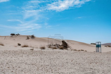 Téléchargez les photos : Sand dunes on the beach by the sea near the town of Porto Pino on the island of Sardinia in Italy - en image libre de droit