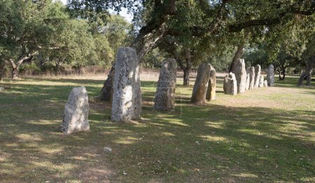 Foto de Tumba de los gigantes y menhires del parque arqueológico de Pranu Matteddu en Goni en el sur de Cerdeña - Imagen libre de derechos